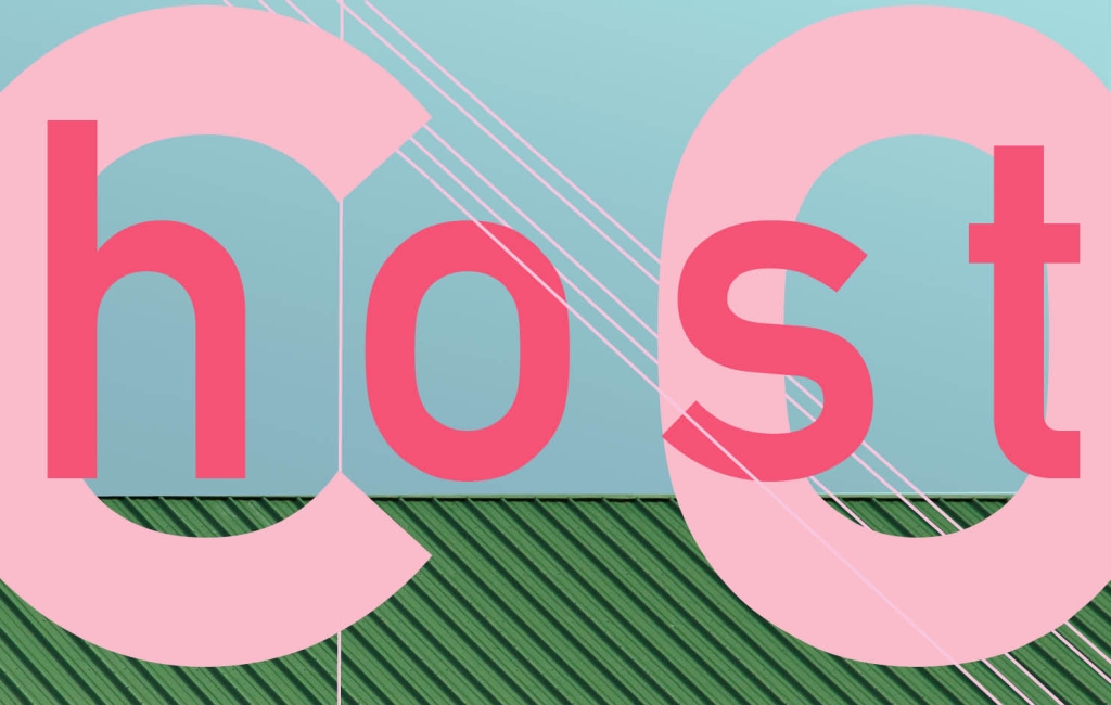 cohost graphic, word written in two shades of pink, 'co' is bigger than 'host'