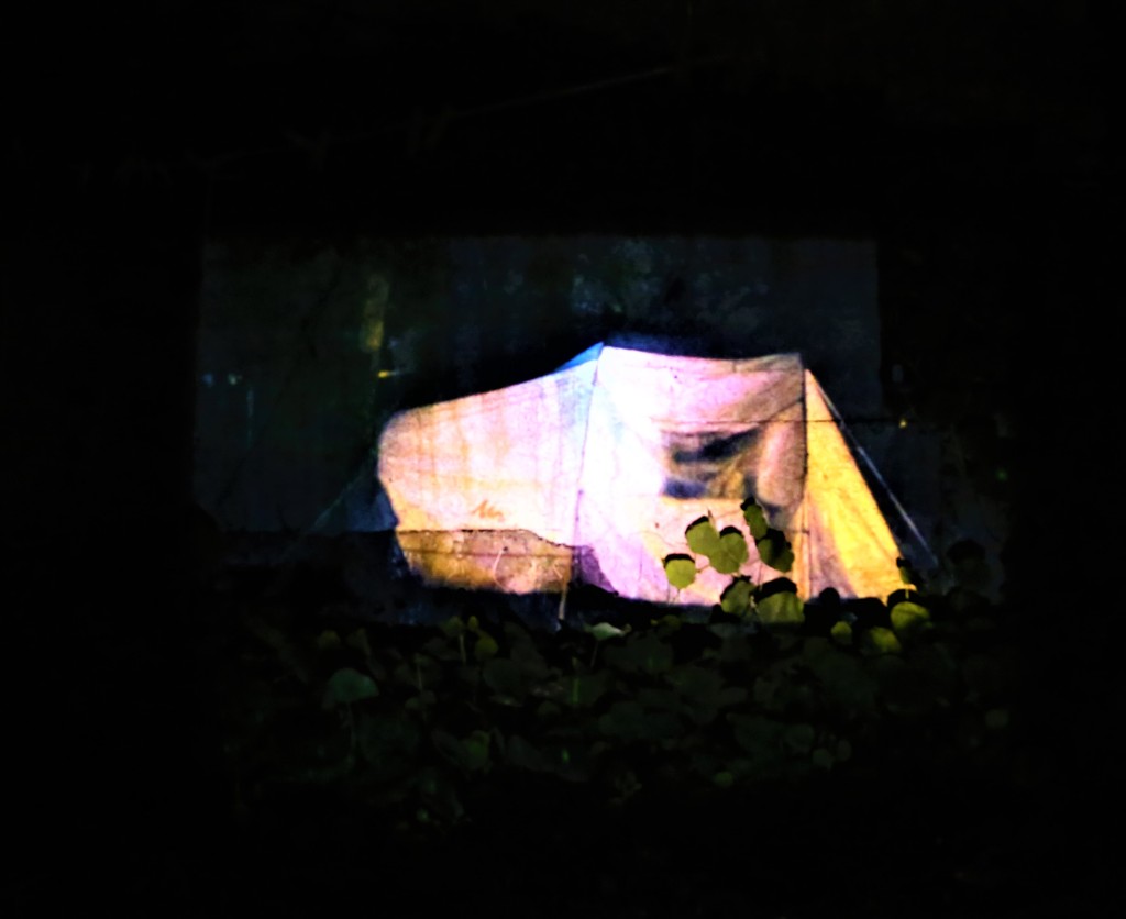 pinkish coloured projection of tent on jet black background. Some green foliage visible.